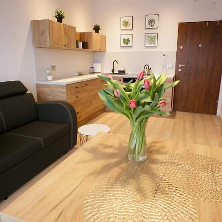 Apartament Na Piernikowym Z Miejscem Postojowym Торунь Экстерьер фото